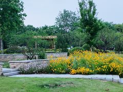 -苏州上方山国家森林公园