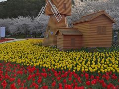 -苏州上方山国家森林公园