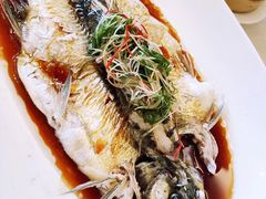 -新加坡泰国村酒楼(五角场店)