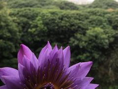 -小南山公园