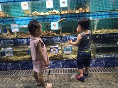 -范饭椰林川湘味海鲜·椰子鸡(三亚湾椰梦长廊店)