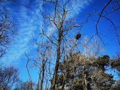 -沈阳辉山风景区