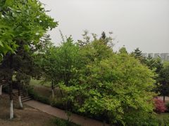 -鹦鹉寺公园