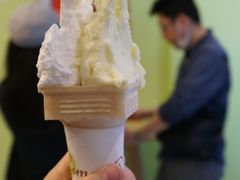 -柠檬车露(卖草地店)