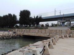 -宝安西湾红树林湿地公园