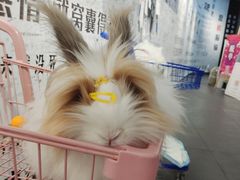 -成都失恋馆