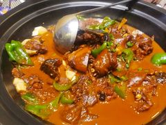 野生甲鱼-茶叁酒肆·楚味江湖(菱角湖店)
