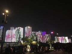 景点-钱江新城灯光秀