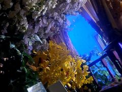 -魔指印象(西藏旗舰店)