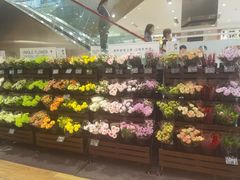 -优衣库(深圳万象天地旗舰店)