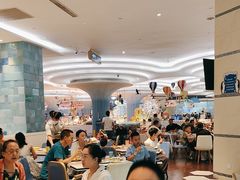 -帝企鹅自助餐厅•儿童岛•真企鹅(长隆企鹅酒店)