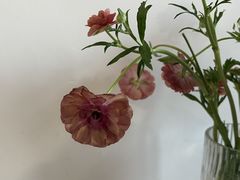 -纽巷咖啡 SOFTFOCUS COFFEE(锦和巴黎时韵店)