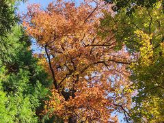-东天目山风景区