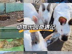 -栾川竹海野生动物园