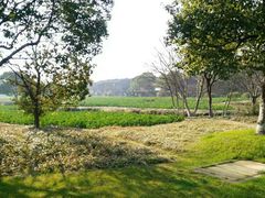 -乌镇西栅景区-月老庙