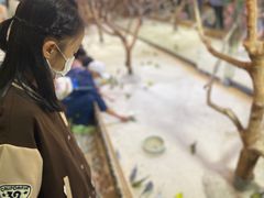 -上海昆虫博物馆