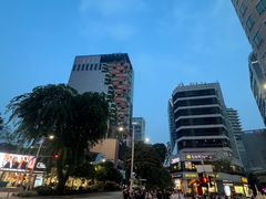-新加坡乌节希尔顿酒店