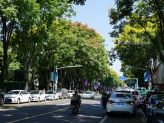 -王阿姨文昌油赞子(府桥街店)