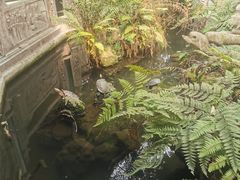 -宝光寺