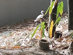 -成都杜甫草堂博物馆