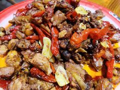 -柴窝堡22号辣子鸡·传承新疆菜