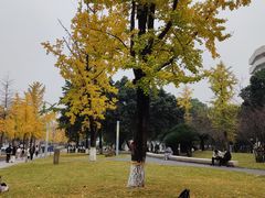 -四川大学(望江校区)