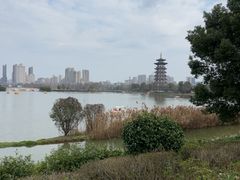 -洋湖国家湿地公园
