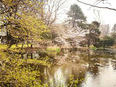 -北海道厅旧本厅舍(旧本庁舎)