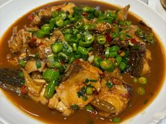 -全乐鱼馆·淳牌有机鱼直营店