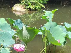-燕晗山郊野公园