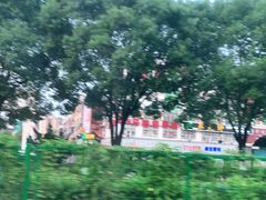 -张氏父子常德肠子馆(红星总店)