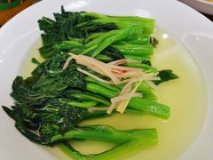 菜心-龙禧渔村酒楼