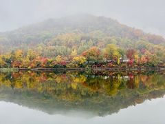 -关门山森林公园