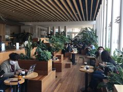 -Seesaw Coffee(朝阳大悦城店)