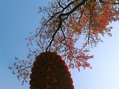-东湖磨山景区