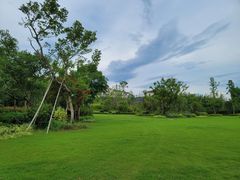 -杭州桐庐康莱德酒店西餐厅-舍
