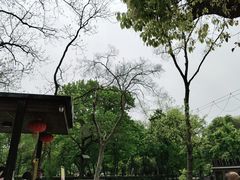 -WeLope紫金山探险公园