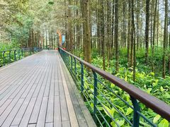 -青山湖景区