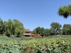-后海公园