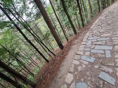 -四明山国家森林公园
