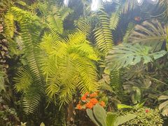 -颐而康·按摩·艾灸·足疗(南岸晶都店)