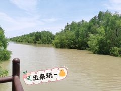 -崖口红树林海鲜餐厅