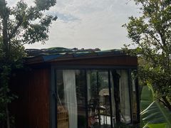 -溪山云境森林音乐餐厅(湖景店)