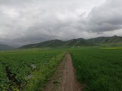 -扁都口生态休闲旅游区