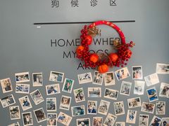 -柏萃动物医院·骨科·牙科