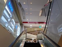-乐天免税店(明洞店)