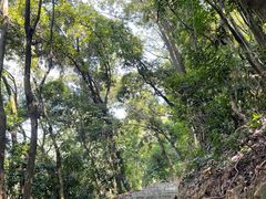 -黄埔油麻山森林公园