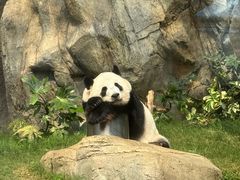 -香港海洋公园