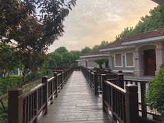 -上海东方佘山翰悦阁酒店·Vie全日制餐厅