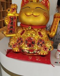 -Dr.林醫生产后修复·配方产康店(南京大厂店)